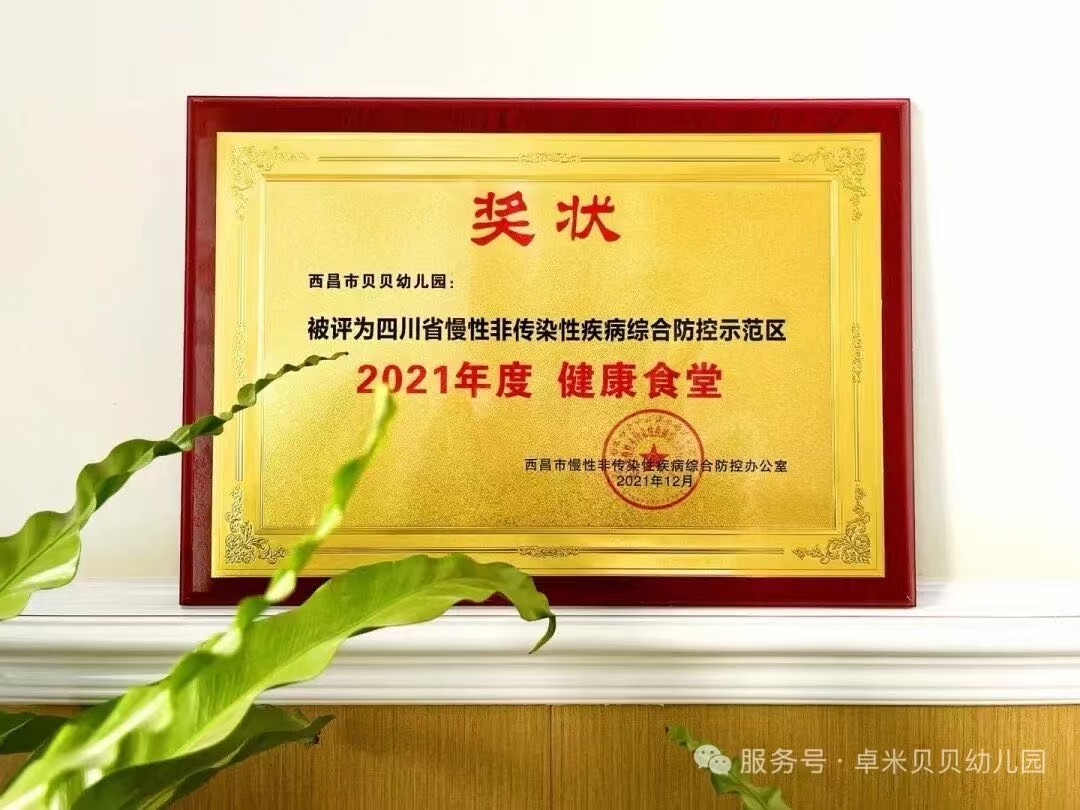 幼儿园营养餐食